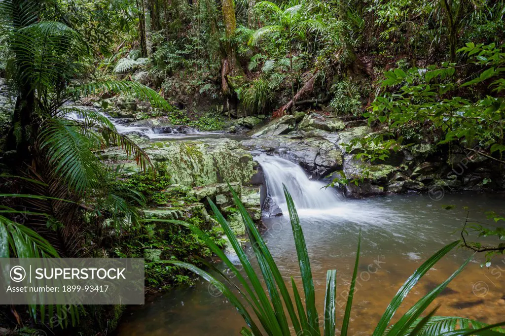 Bat Cave Creek running through subtropical rainforest, Nightcap National Park, New South Wales, Australia,7/11/2012