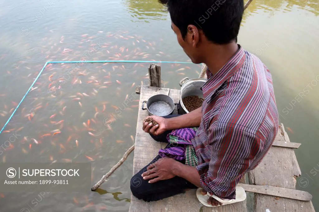 Fish pond financed by a loan from HKL microfinance, Cambodia,02/09/2011