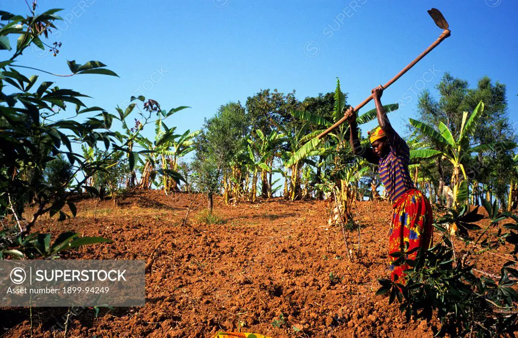 Peasant woman farming in Burundi, Burundi .,10/10/2002