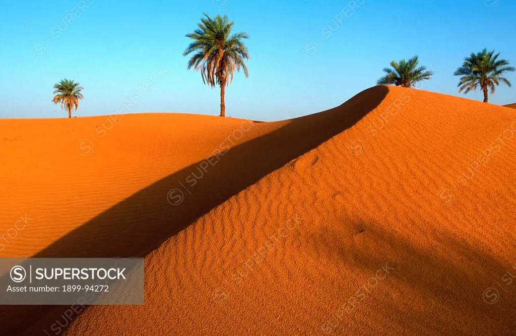 Sand dunes in Timinoun area, Djimdjane, Algeria.,08/28/2004