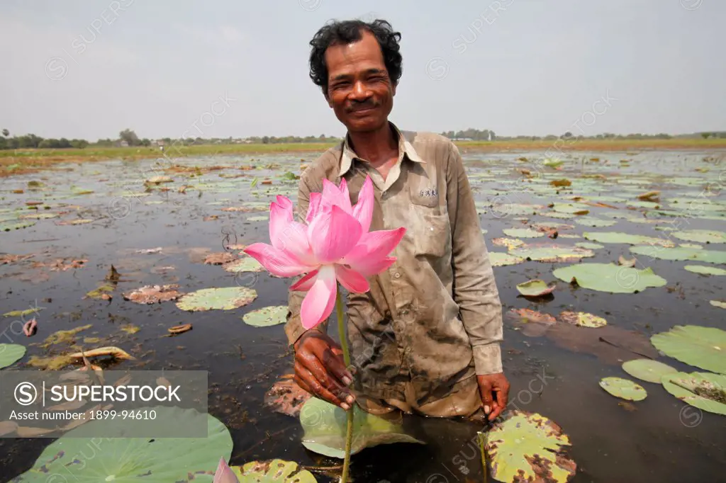 Phat Tort grows lotus flowers on Koh Dach (Silk island) with a loan from Chamroeun microfinance, Koh Dach, Cambodia.,02/17/2011