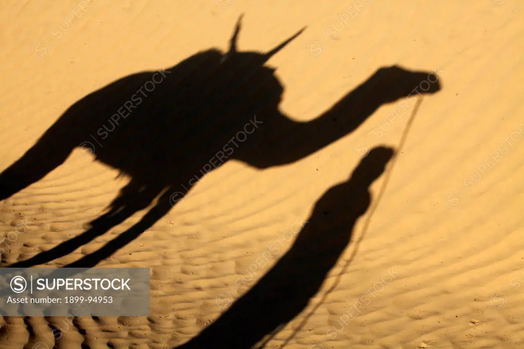 Camel driver's shadow in the Sahara desert, Douz, Tunisia.,10/14/2011