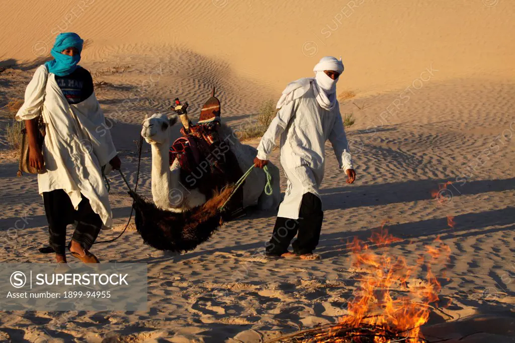 Beduins carrying water, Douz, Tunisia.,10/14/2011