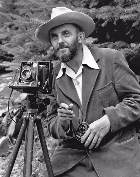 Ansel Easton Adams (February 20, 1902 - April 22, 1984) was an American photographer and environmentalist. His black-and-white landscape photographs of the American West, especially Yosemite National Park, have been widely reproduced on calendars, posters, and in books. With Fred Archer, Adams developed the Zone System as a way to determine proper exposure and adjust the contrast of the final print. The resulting clarity and depth characterized his photographs. Adams primarily used large-format cameras because their high resolution helped ensure sharpness in his images. Adams was distressed by the Japanese American Internment that occurred after the Pearl Harbor attack. He requested permission to visit the Manzanar War Relocation Center in the Owens Valley, at the foot of Mount Williamson.