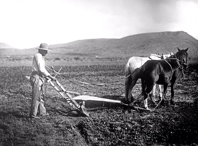 Salt River Project, Arizona Sacator Indian Reservation, farmer plowing a field ca.  between 1918 and 1928.