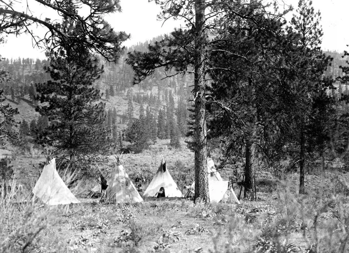Edward S. Curtis Native American Indians -  Five tipis and a tent in Spokan Indian camp ca. 1910. 