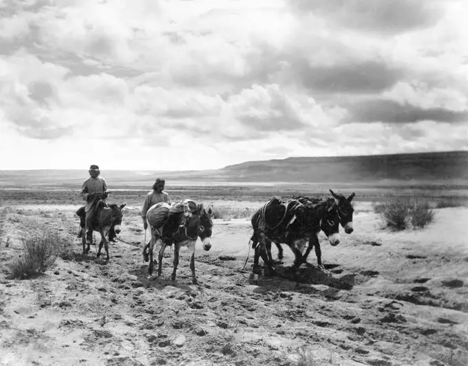 Edward S. Curtis Native American Indians - Burros and Moki (Hopi) Indian men on the road ca. 1900. 