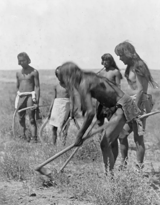 Edward S. Curtis Native American Indians - Group of Hopi Indians using hoes to dig out snakes ca. 1907. 