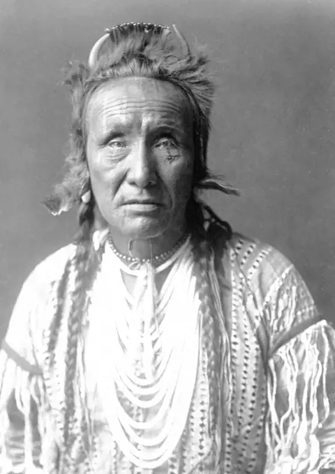 Edward S. Curtis Native American Indians - The Grizzly Bear, Piegan, half-length portrait ca. 1910. 