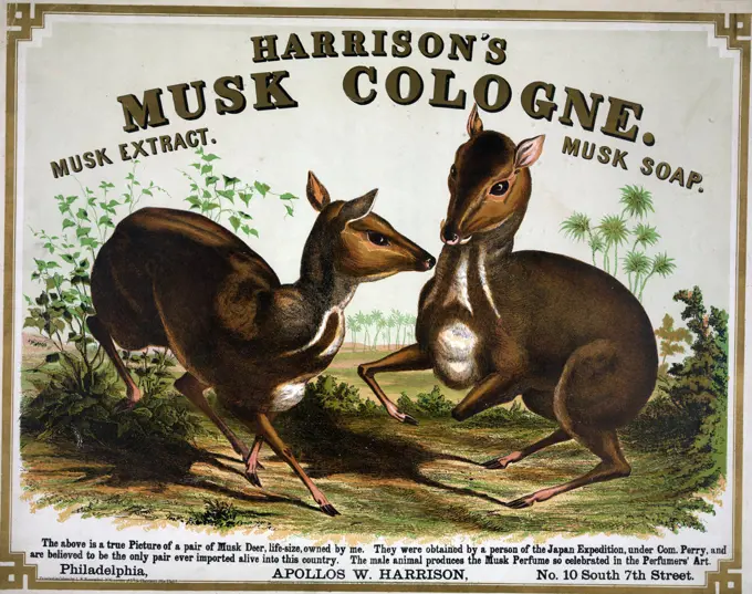 Harrison's musk cologne. Philadelphia musk deer ca. 1857. 