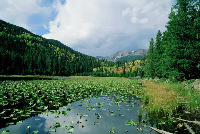 Colorado. Rocky Mountain National Park. Cub Lake