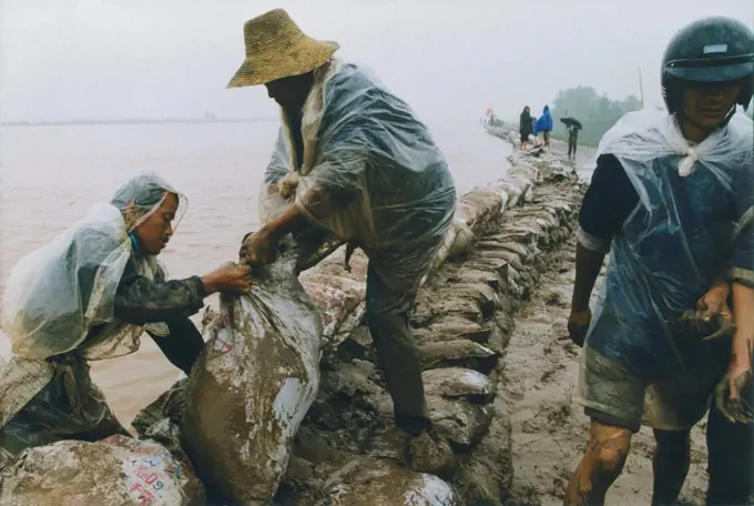 People fortifying the dyke beside the Jinjiang River (tributary on the middle reaches of Yangtze River) during heavy rains. Hubei province, China. 1998.