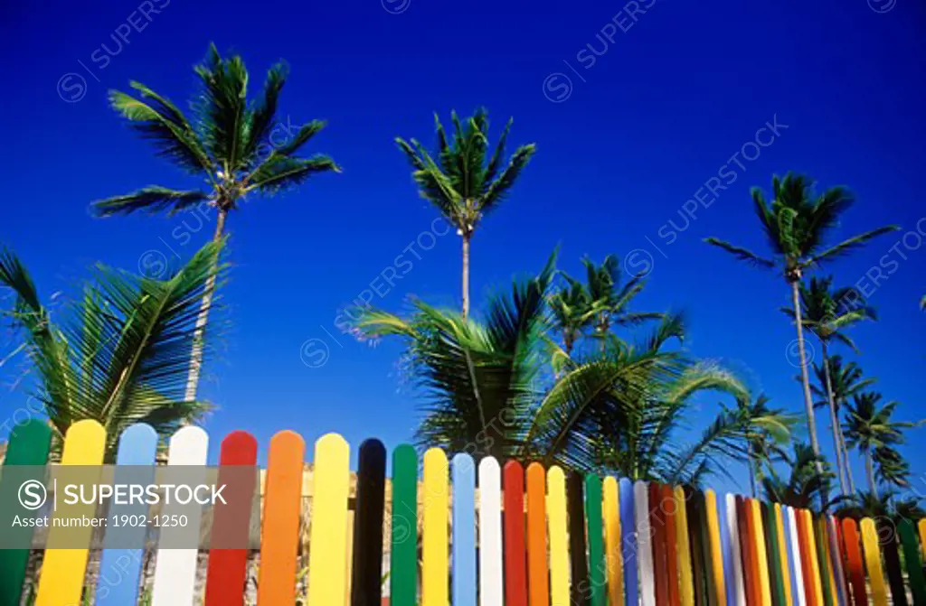 Dominican Republic Punta Cana Bavaro Beach Multi-colored picket fence and palm trees on beach