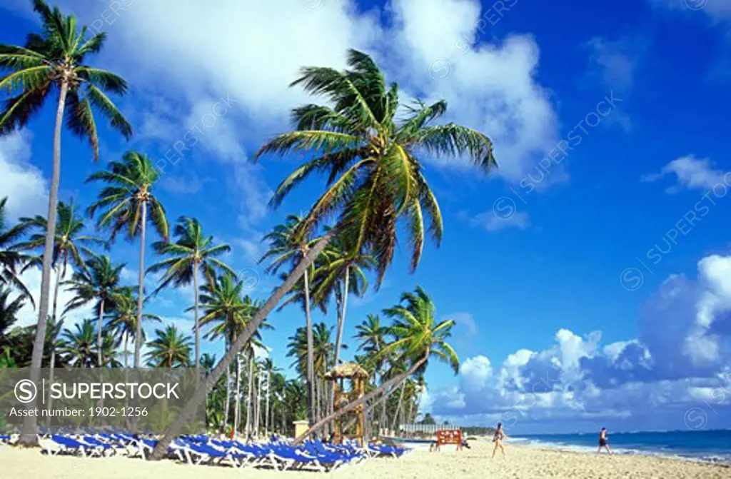 Dominican Republic Punta Cana Bavaro Beach palm trees and sandy beach