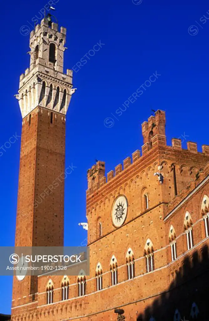 Italy Tuscany Siena Piazza del Campo Palazzo Pubblico Torre del Mangia