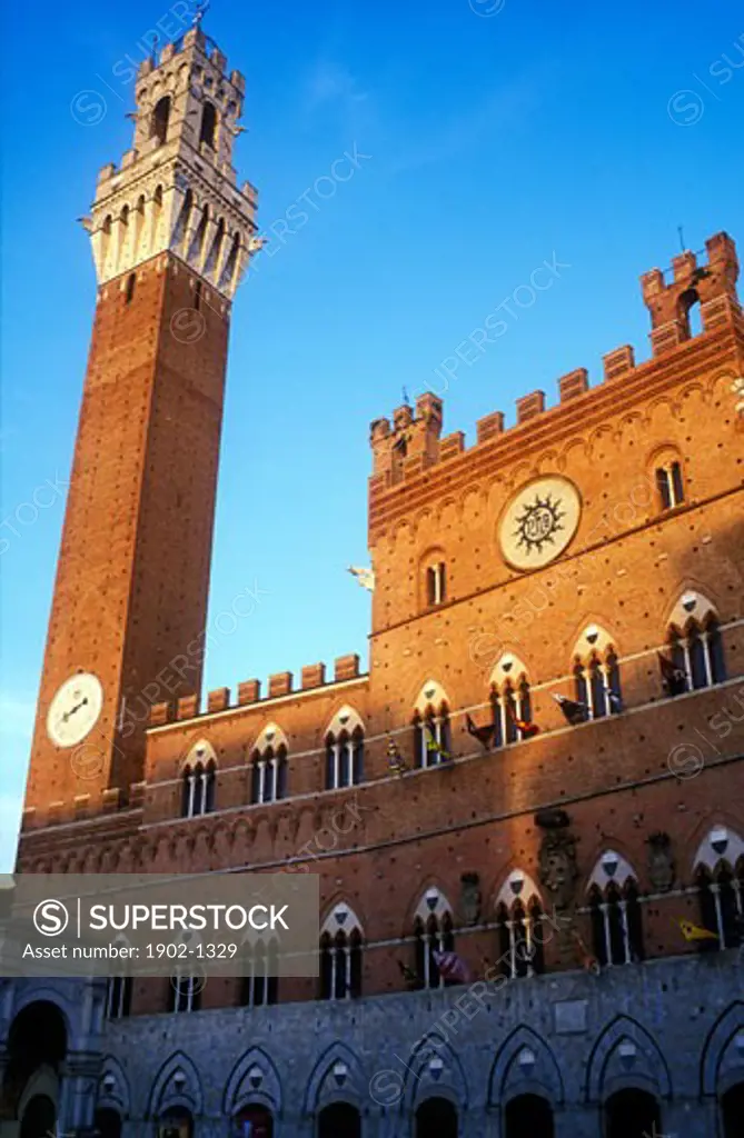 Italy Tuscany Siena Piazza del Campo Palazzo Pubblico Torre del Mangia