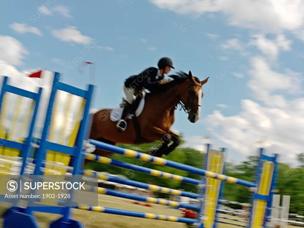 Canada Ontario Niagara-on-the-Lake equestrian jumping hurdle