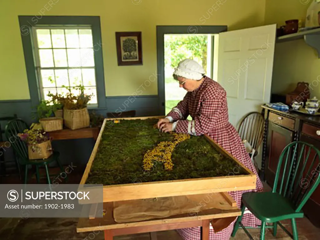 Canada Ontario Morrisburg Upper Canada Village woman creating a tapestry from moss and dried flowers