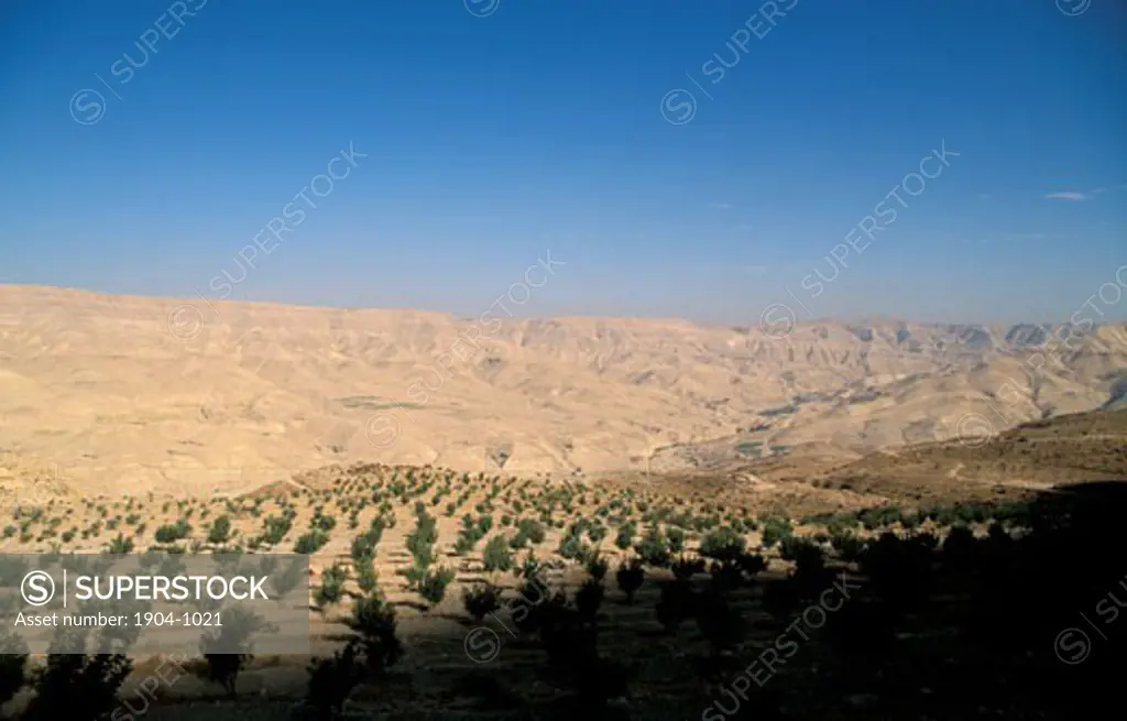 Jordan landscape south of Madaba
