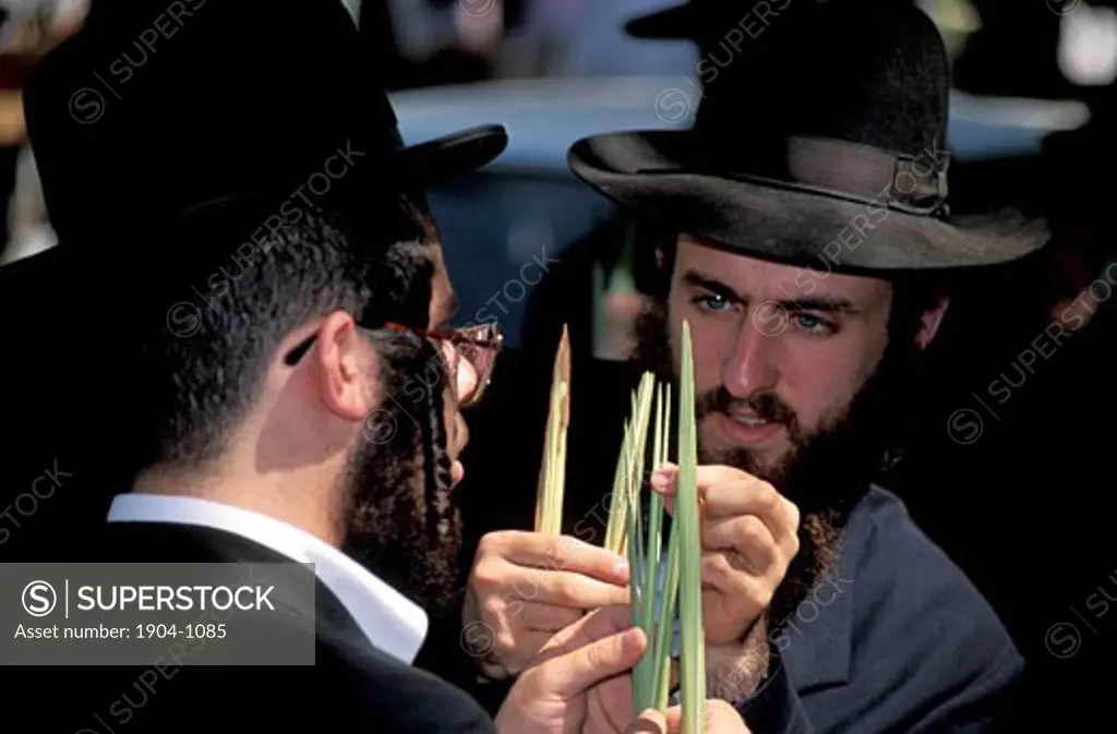 Jerusalem The Four Species market at Succot inspecting the Lulav