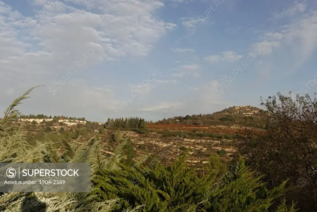 A view of Mount Tzuba and Kibbutz Tzuba