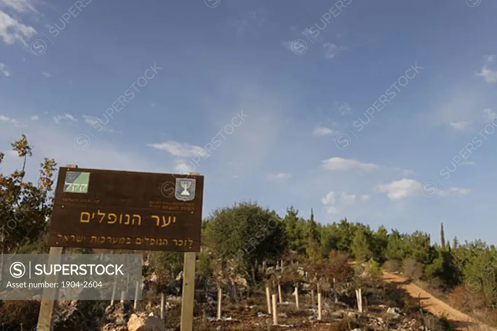 Memorial for the Fallen forest on Mount Eitan