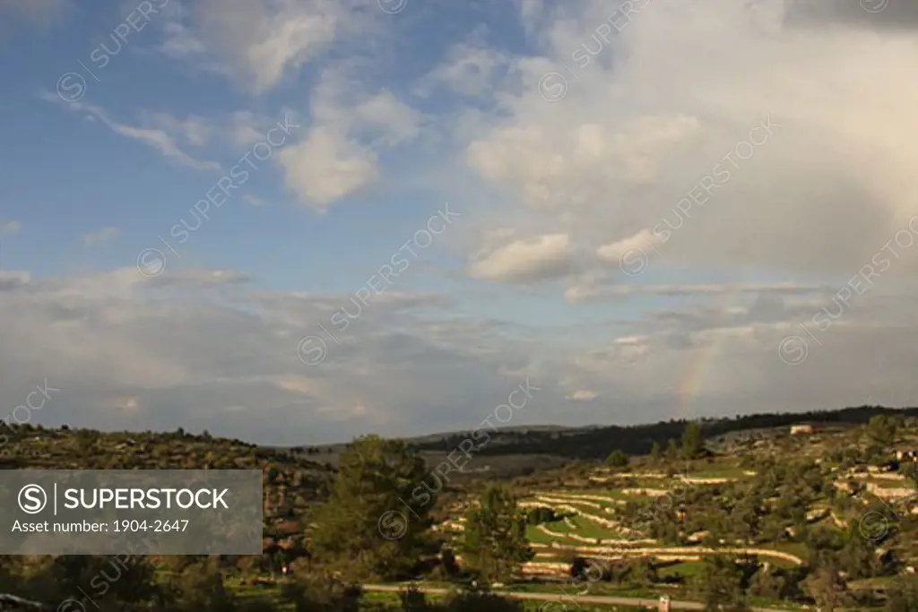 Neot Kedumim  the Biblical Landscape Reserve