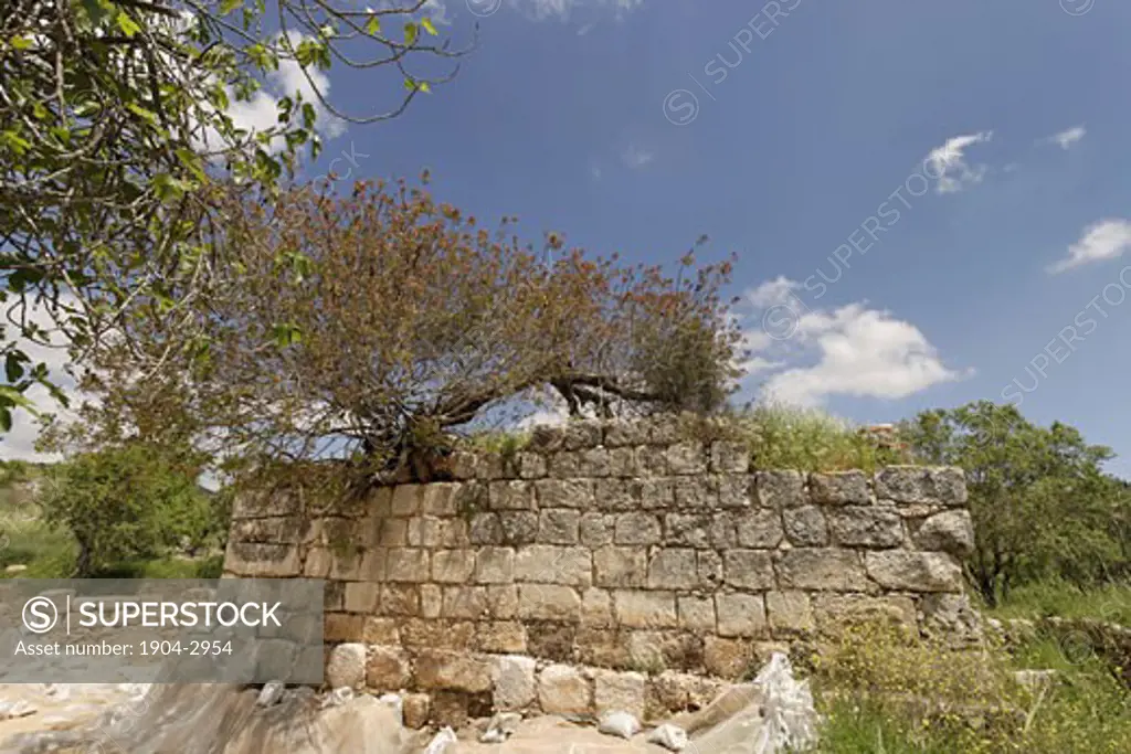 Ruins of the Byzantine Churches and a Muslim structure in Tel Shiloh