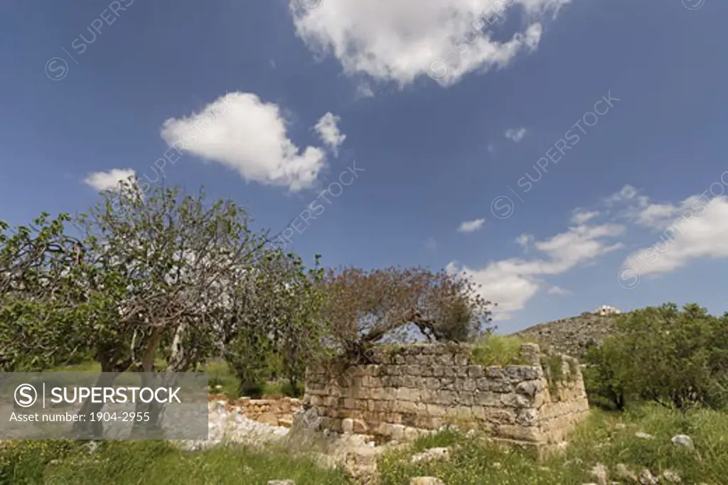 Ruins of the Byzantine Churches and a Muslim structure in Tel Shiloh