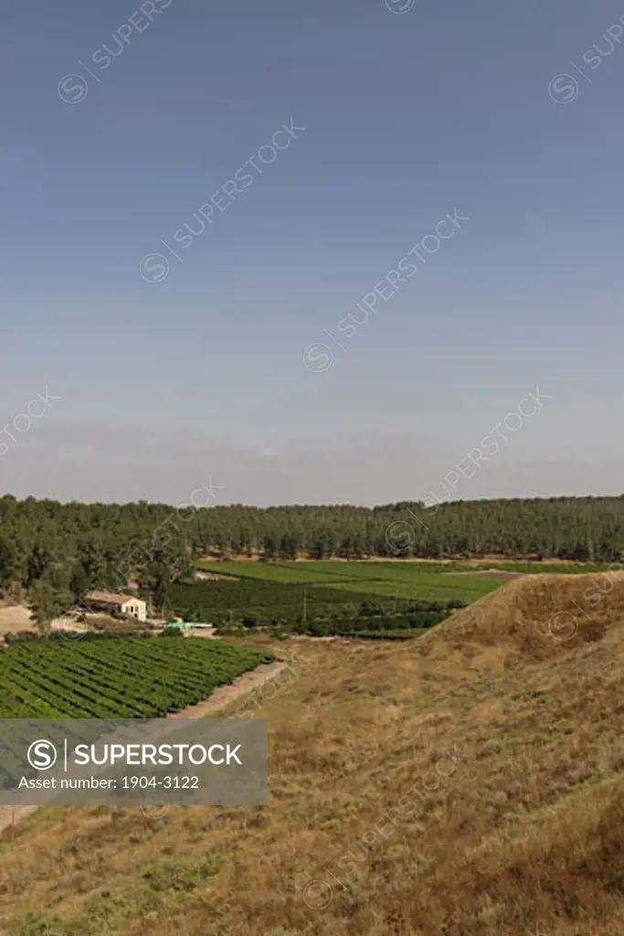 A view northwest from Tel Lachish