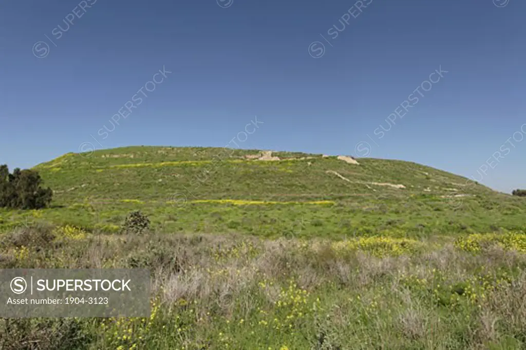 A view of the eastern side of Tel Lachish