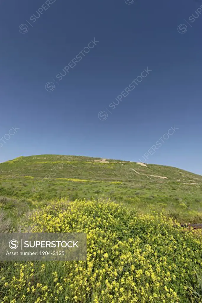 A view of the eastern side of Tel Lachish