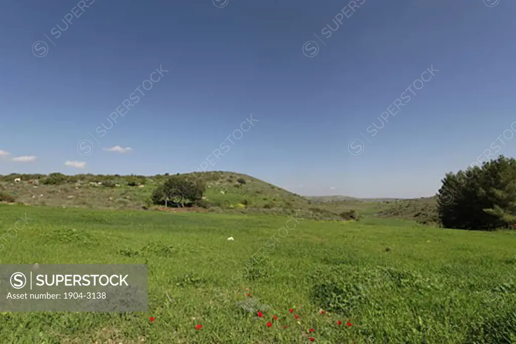 Rolling hills near Amatzia