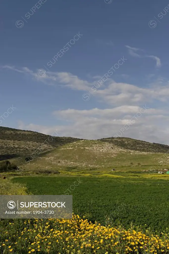 Tel Cana the location of Hurbat Cana