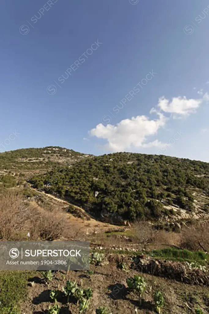 Wadi Shfanim in Meron mountains