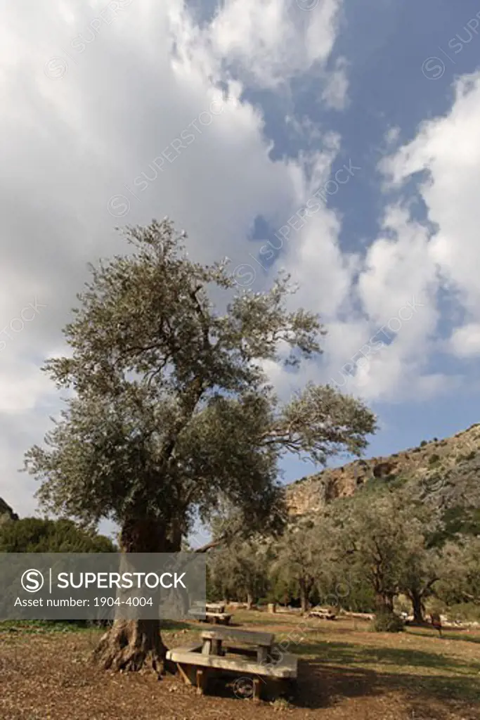 Picnic area in Wadi Oren