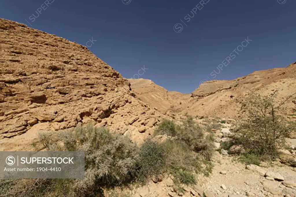 Wadi Gov in the Negev desert