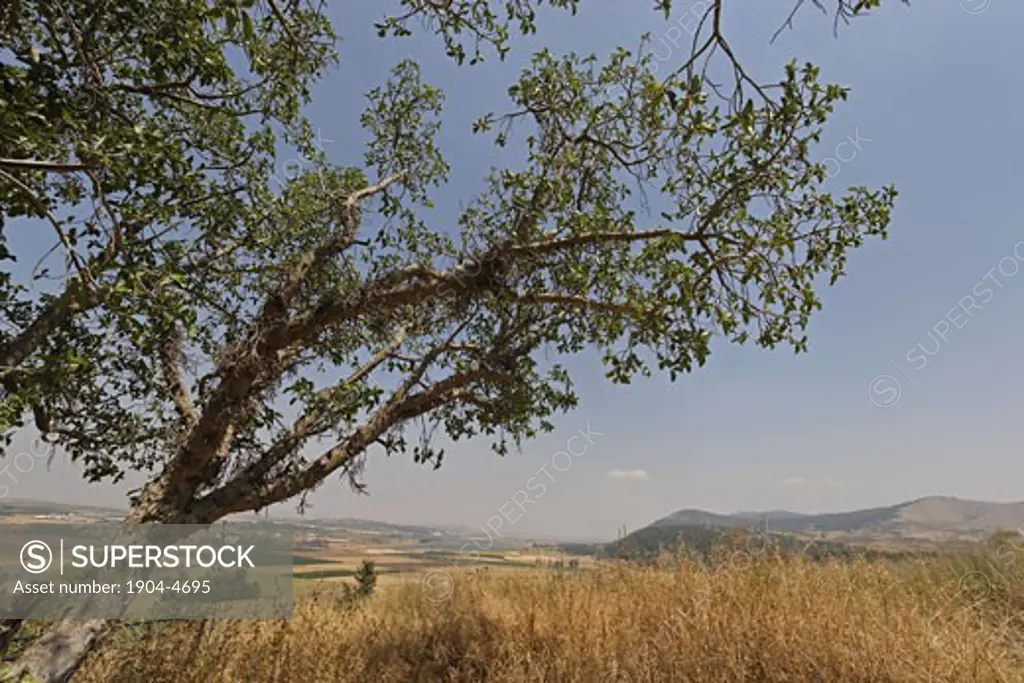 A view of Harod Valley from Tel Jezreel