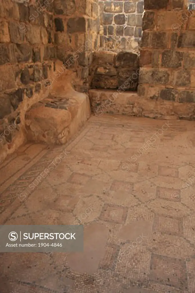 Beth Shean a mosaic floor at the Byzantine Sygma