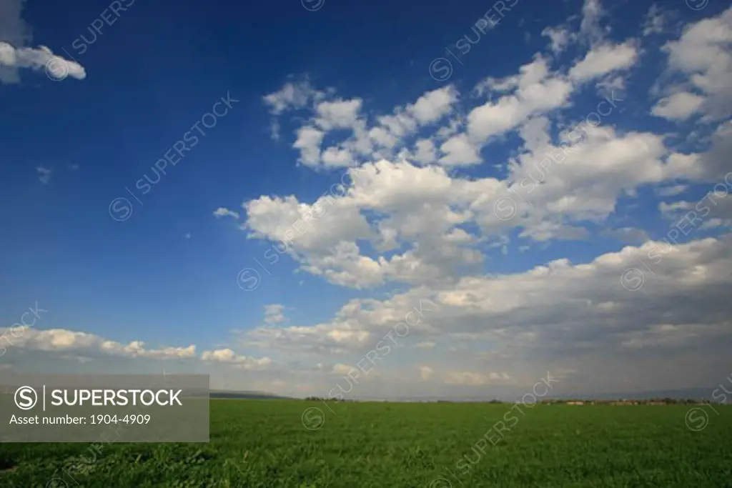 Beth Shean valley fields by Ein Moda