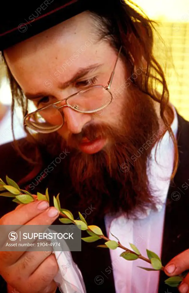 The Four Species Market in Jerusalem inspecting the Hadas