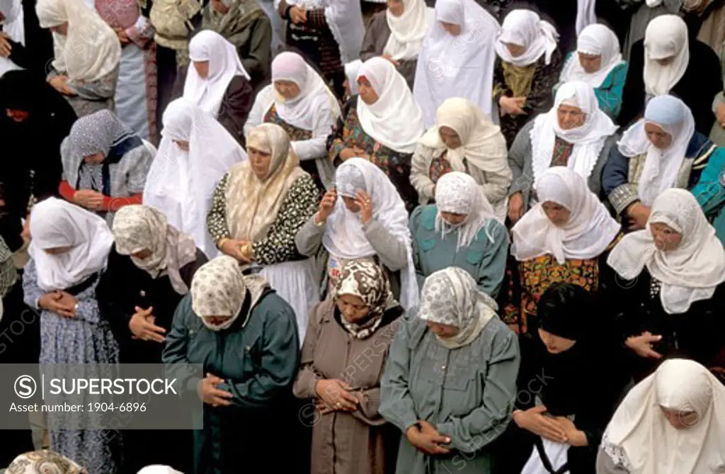 The Judean desert women praying at Nabi Musa