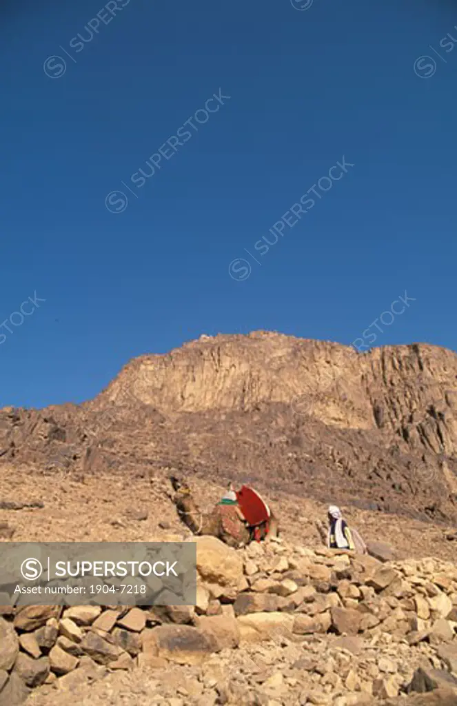 A beduin and a camel at the foothill of Mount Sinai