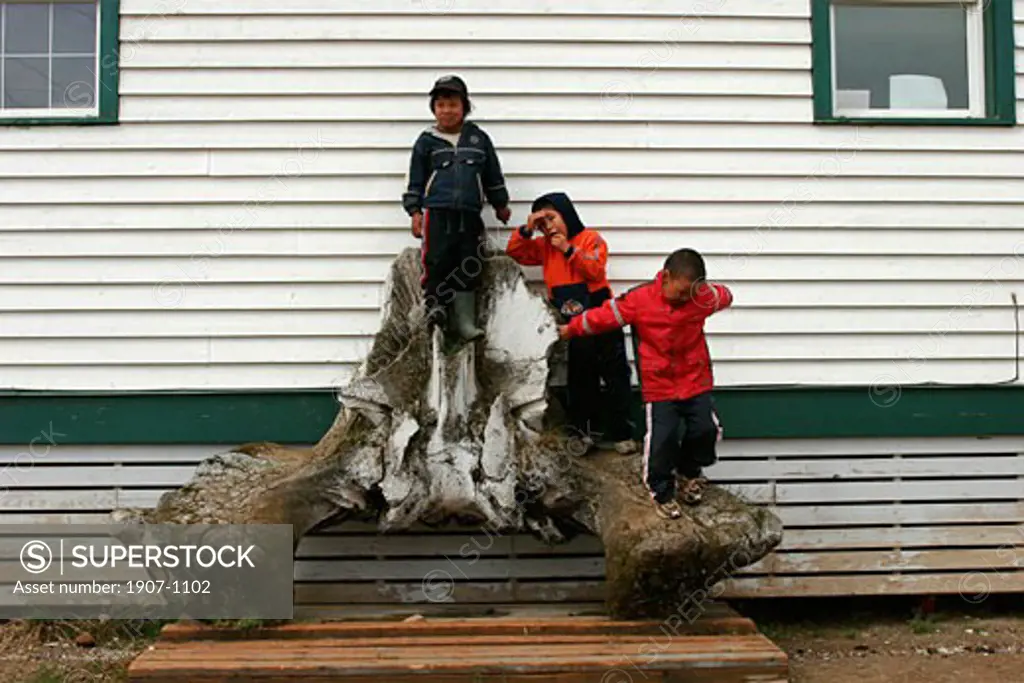 Some young inuit kids playing on a whale verteber in Kimmirut  Baffin island