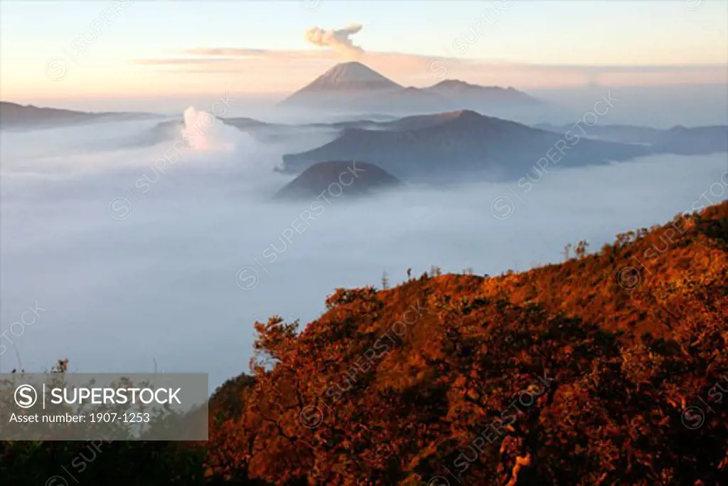 Sightseeing at dawn on the Bromo and Semeru vulcanoes in the Tennger caldera Java Indonesia