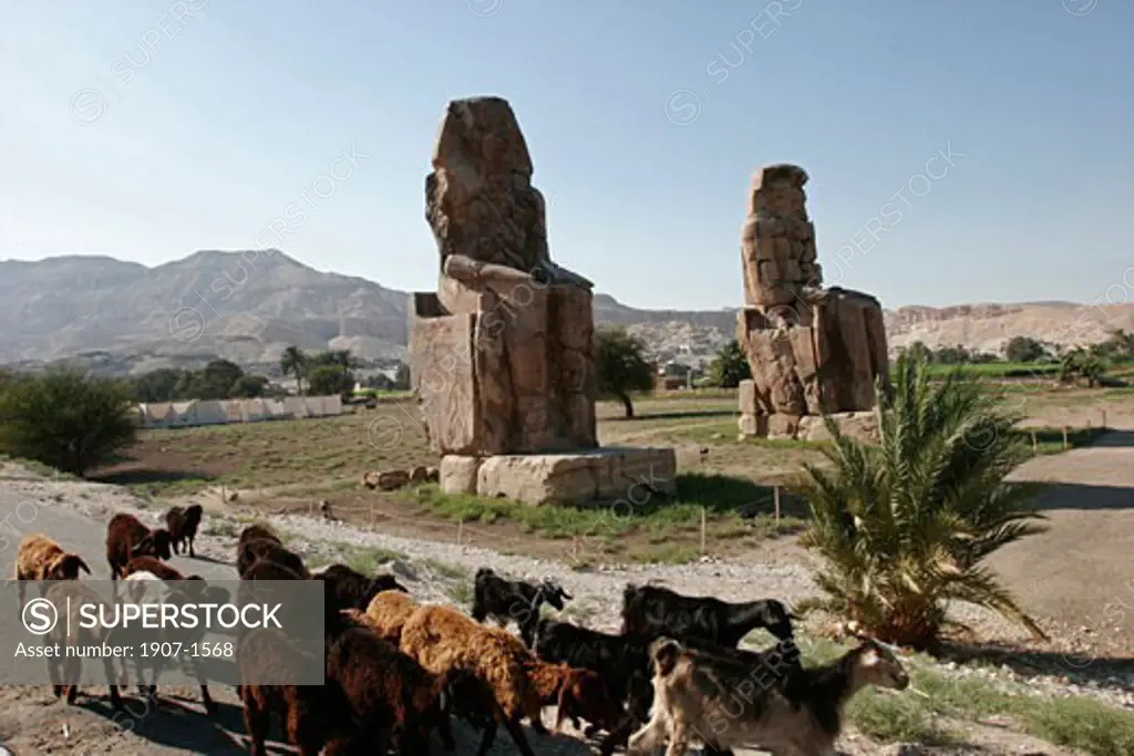 Statues of dHorus and Osiris in El Gounah close to Louxor South Egypt