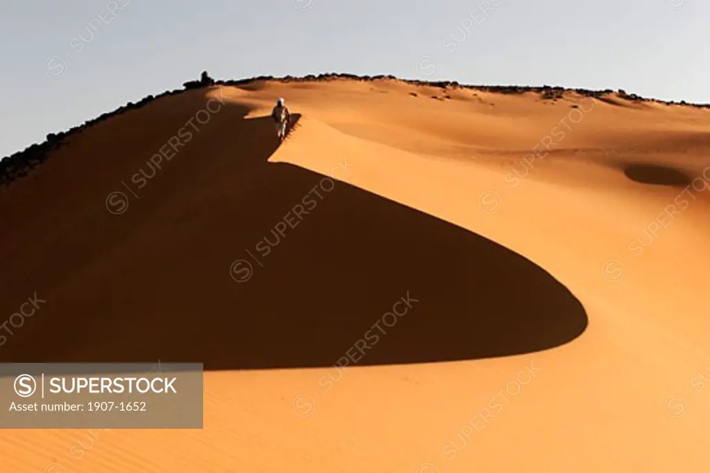 The dunes in the Dongola desert