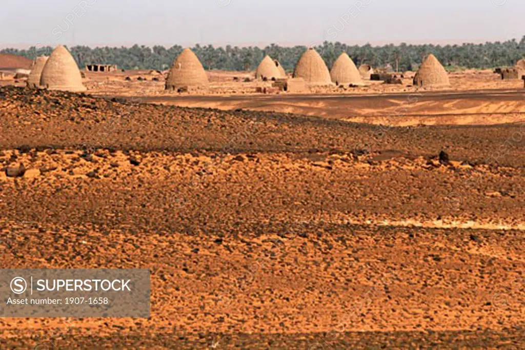The oblong pyramids of Old Dongola  in the backyard  the palm trees along the Nile river valley