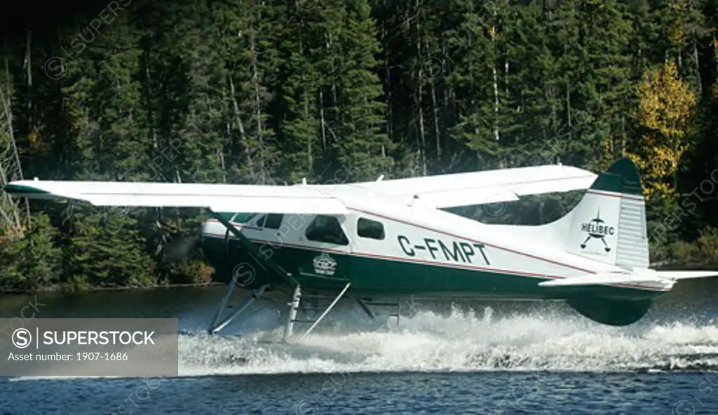 One seaplane landing on the lac du Triton
