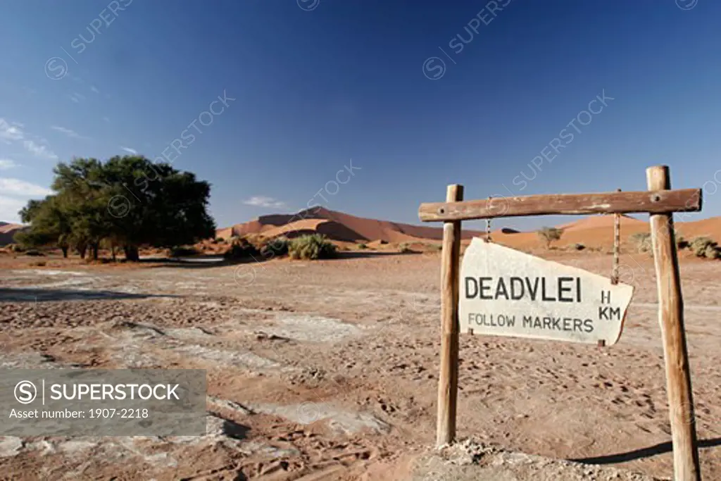 The Deadvlei valley  in Sossusvlei national park  is a silty and clay loam soil but the flood of the river down is always more rare and the trees are dead